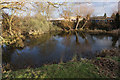 Pond in Swavesey