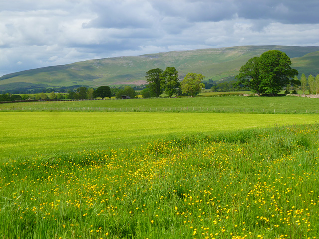 Farmland, Culgaith