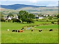 NY6331 : Pasture, Blencarn, Culgaith by Andrew Smith