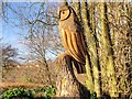 SD5229 : Owl Carving, Higher Penwortham by David Dixon