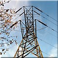 Pylon at Aspen Wood