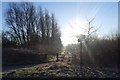 Trans Pennine Trail toward Stockton Heath