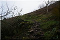 Pembrokeshire Coast Path at Monkstone Point