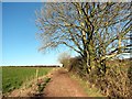 Llwybr West Pool Path