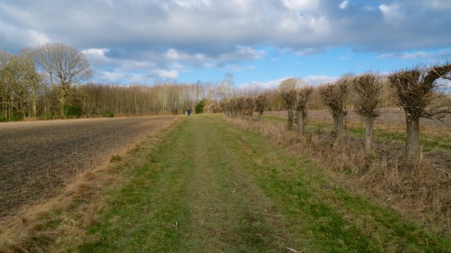 Footpath to Friezley Lane, Cranbrook, Kent