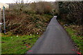 Public footpath towards the river, Penywaun