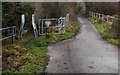 Riverbank route towards Aberdare from Penywaun