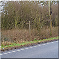 Footpath signpost, East Hanningfield Road, near Butt