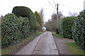 Sandon Hall Bridleway, Howe Green