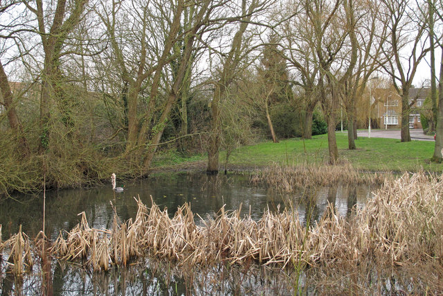 Small pond, Gablefields, Sandon