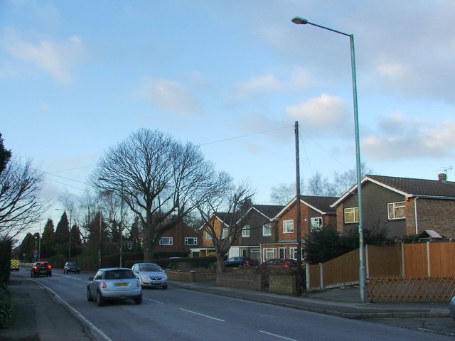 Wigmore Road Wigmore Chris Whippet Geograph Britain And Ireland   4339051 2e978d37 