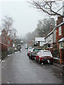 Coggins Mill Road in snow