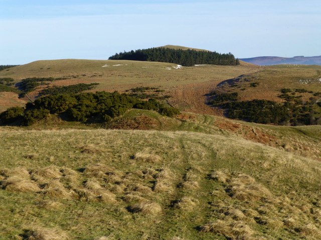 View north over the moors