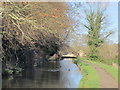 The New River north of High Street, Stanstead St. Margaret