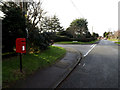 Linden Road Postbox