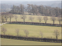 SU0416 : Cranborne: the fields of West Blagdon Farm by Chris Downer