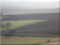 SU0416 : Cranborne: zigzaggy fences of West Blagdon Farm by Chris Downer
