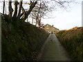 The Binn Royd track approaching Lower Binn Royd Farm