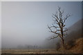 NT1307 : Morning mist by Colin Kinnear