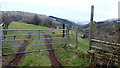 Footpath to upper Cwm Cleisfer