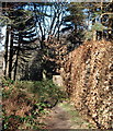 Mansfield Crematorium Vicinity, Mansfield, Notts.