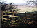 Nottingham Road Cemetery (Boundary), Mansfield, Notts.