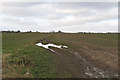 Footpath on the grid line, Boreham