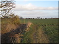 Footpath T junction, Boreham