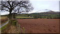 Fine view of Mynydd Troed, 1