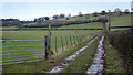 Track and path into the hills