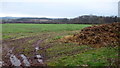 Arable land in sheep country