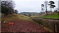 Poached land near Llwynbrain