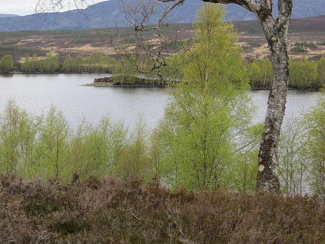 Loch, Coille Phoineis
