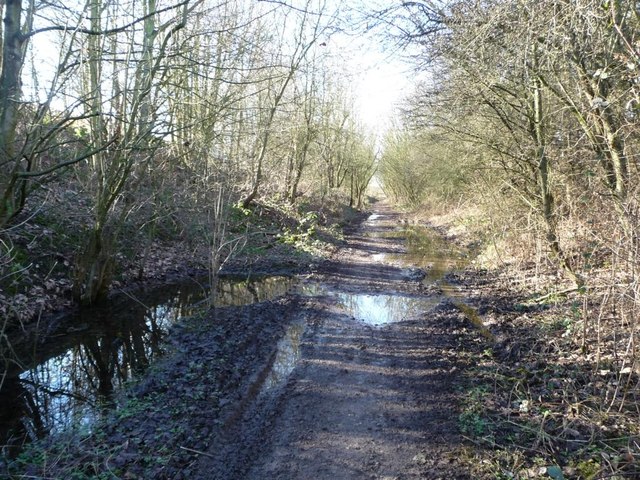 Former railway line, west of the... © Christine Johnstone cc-by-sa/2.0 ...