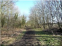 SE4712 : Former railway line, Upton Country Park by Christine Johnstone