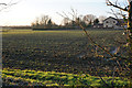 Arable field by Longstanton