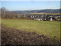 Trinity View estate, Caerleon