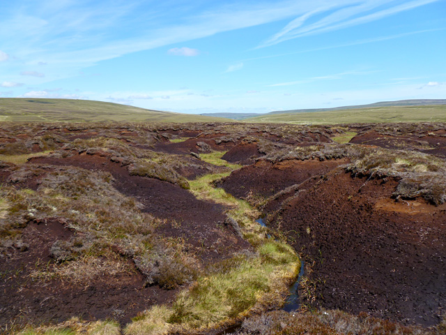 Moorland, Milburn © Andrew Smith :: Geograph Britain and Ireland