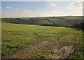 Field near Tregemellyn