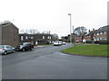 Stocks Approach - viewed from Spinks Gardens