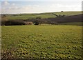 Farmland near Penkelly