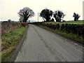 Peacock Road, Ballyfatten