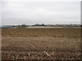 Farmland off Ford Road