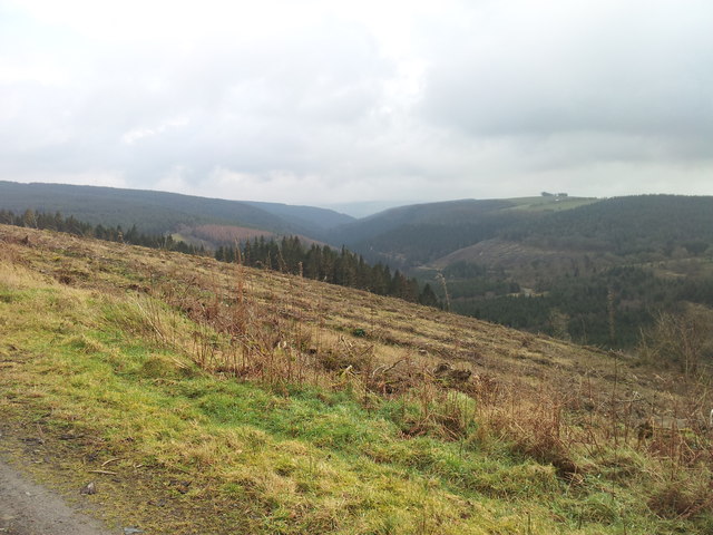 View down the Gorlech Valley