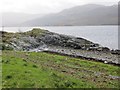 NM7163 : Shore of Loch Sunart by Richard Webb