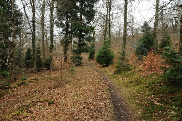 Forest path near Yorkley Slade © Philip Halling cc-by-sa/2.0 ...