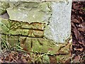 Benchmark on ruined building, Cattistock