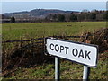 Bardon Hill viewed from Copt Oak