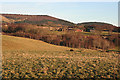 Looking towards Boghead