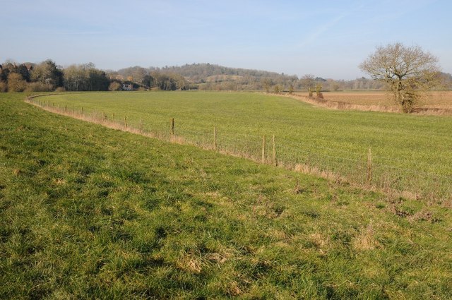Meadowland opposite The Rhydd